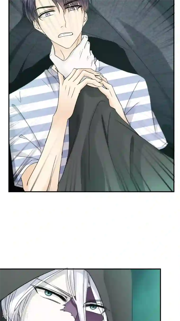 花间云梦第19话