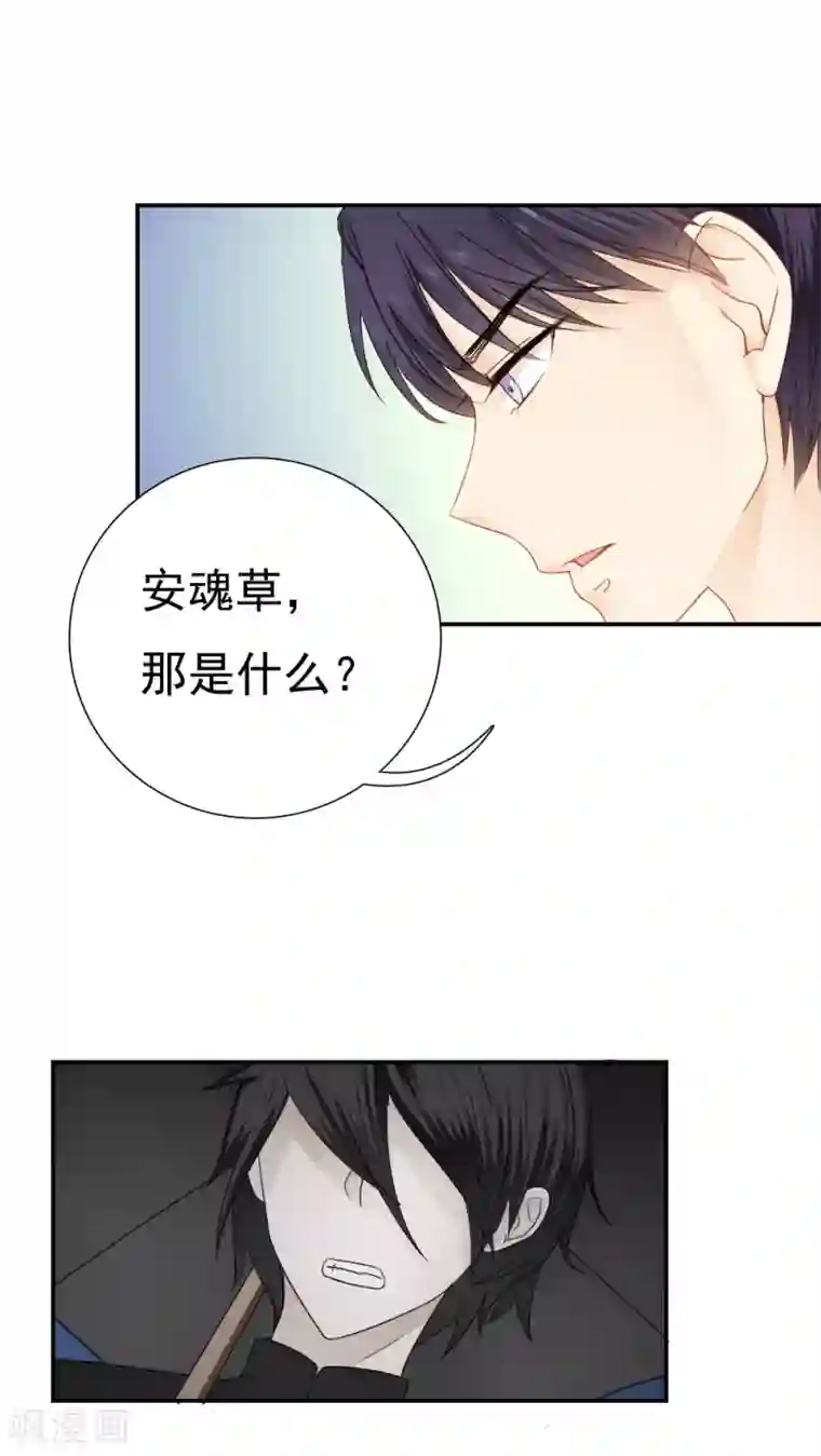 花间云梦第24话