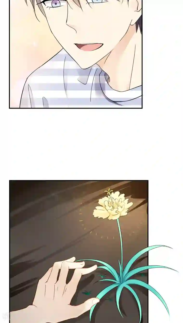 花间云梦第27话