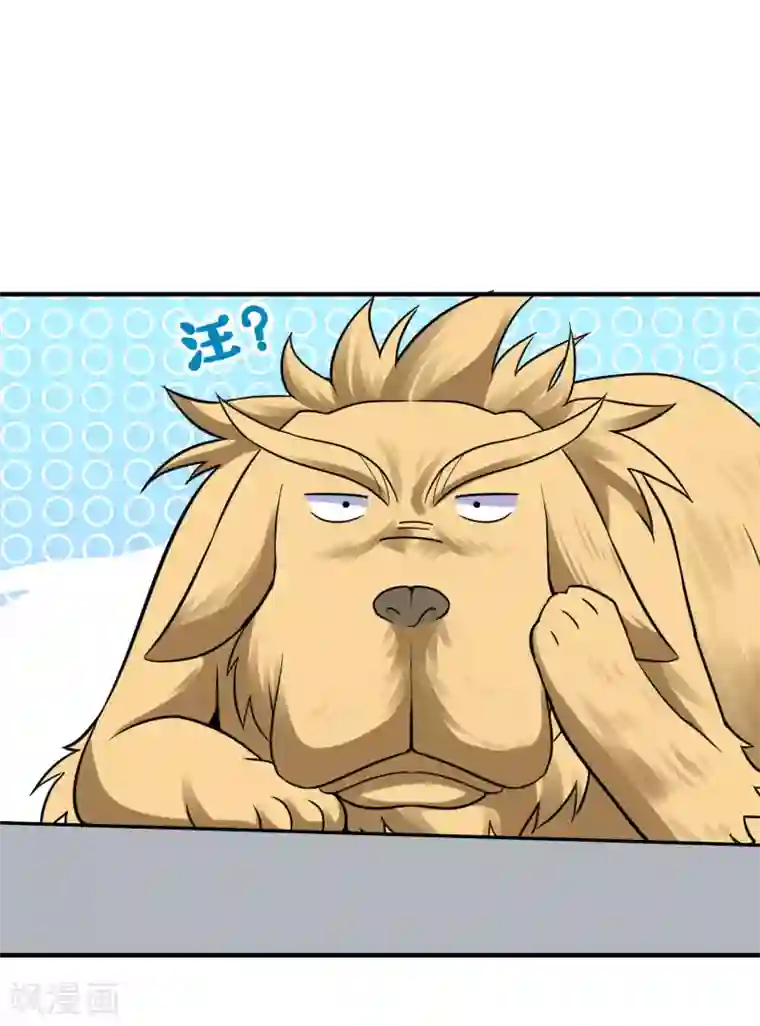 万界仙王第14话 是时候轮到外挂登场了