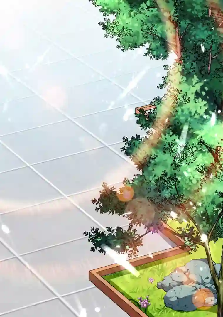 万界仙王第14话 是时候轮到外挂登场了