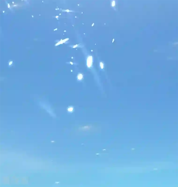 万界仙王第22话 螳螂捕蝉，黄雀在后？