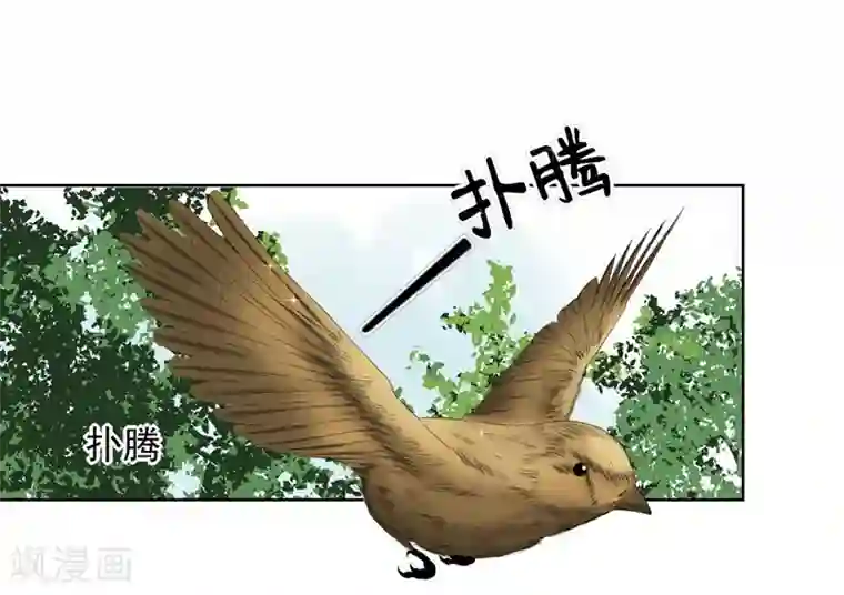 请你喜欢我第23话 来决斗吧！秦简兮！