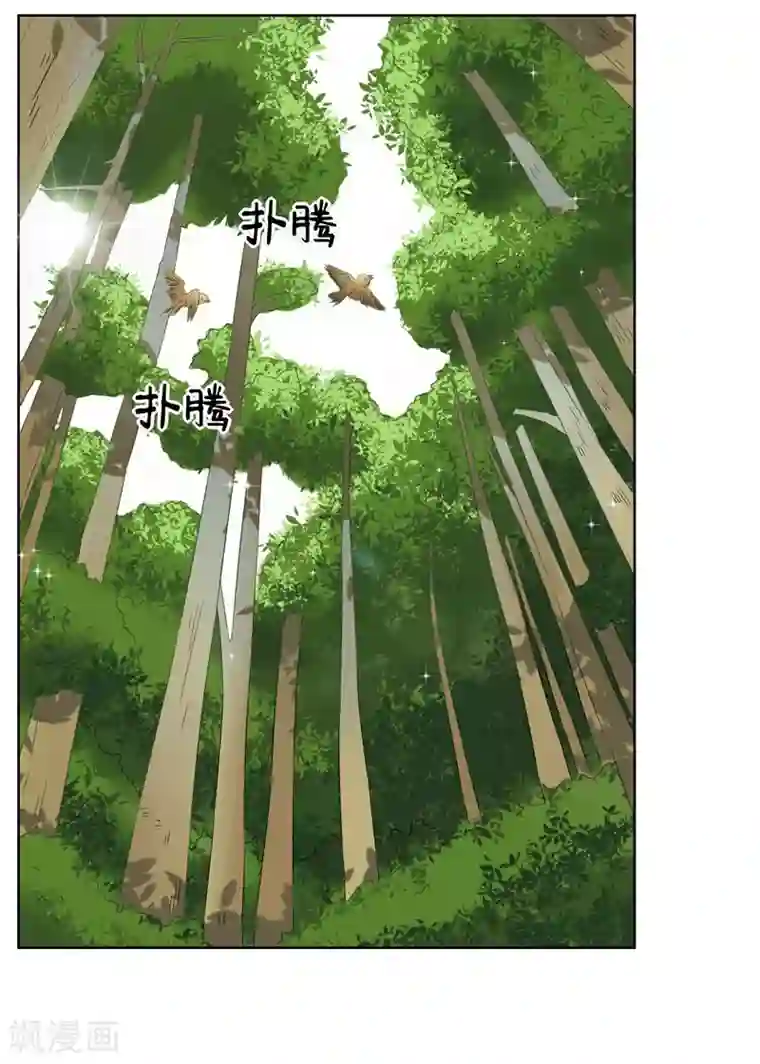 请你喜欢我第23话 来决斗吧！秦简兮！