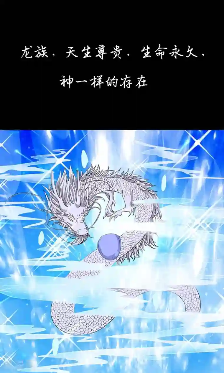 龙王的双世恋妃预告