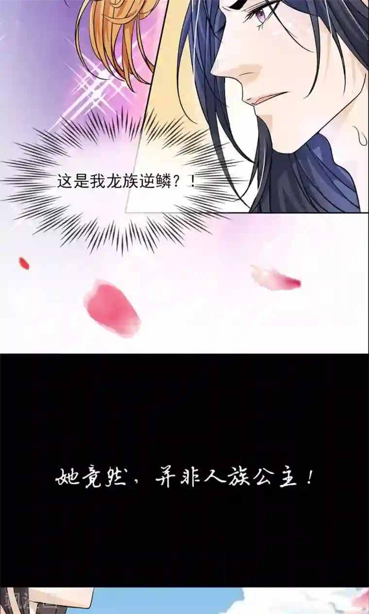 龙王的双世恋妃预告