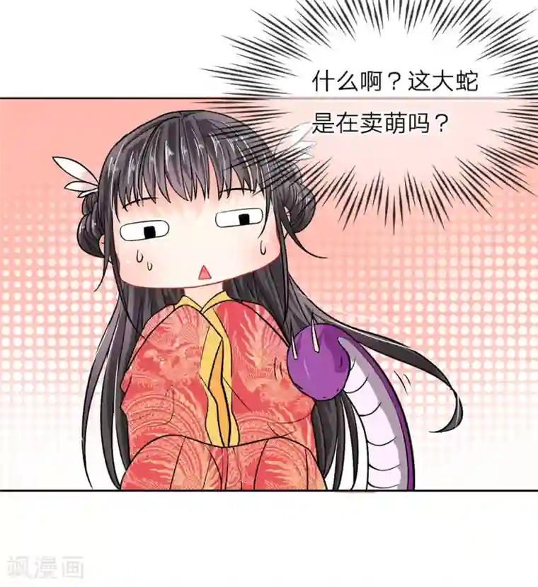 龙王的双世恋妃第3话 紫衣的陌生男子