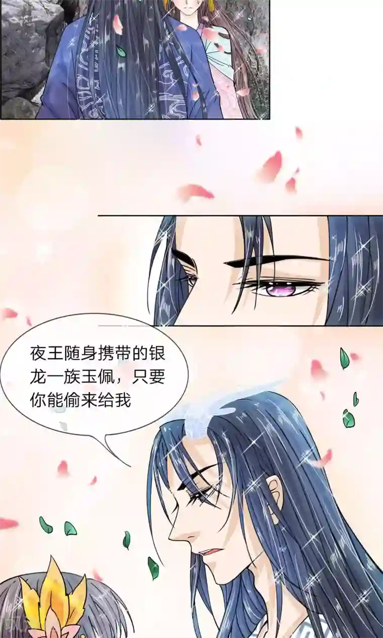 龙王的双世恋妃第17话 我要你偷夜王的随身玉佩