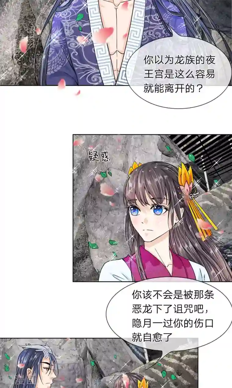 龙王的双世恋妃第17话 我要你偷夜王的随身玉佩