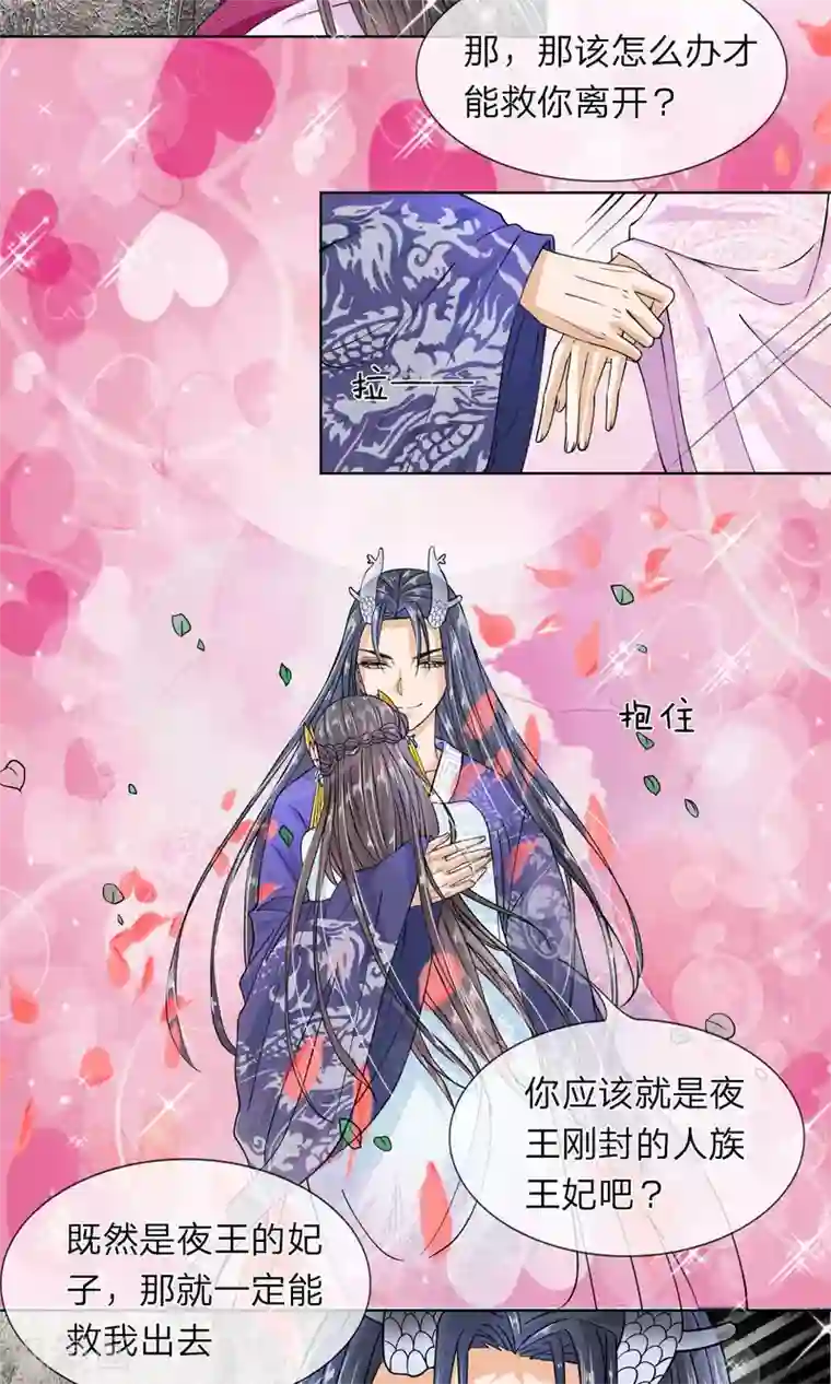 龙王的双世恋妃第17话 我要你偷夜王的随身玉佩