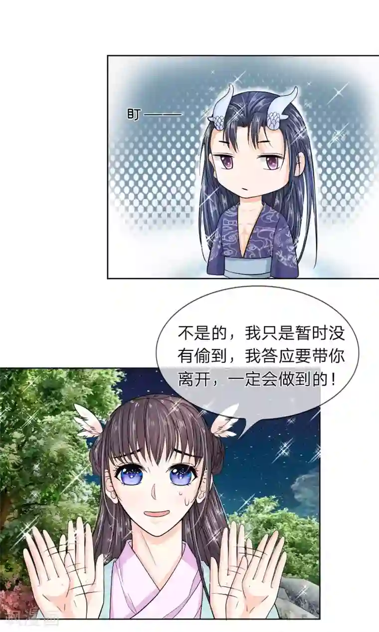 龙王的双世恋妃第28话 曾经爱过的女人