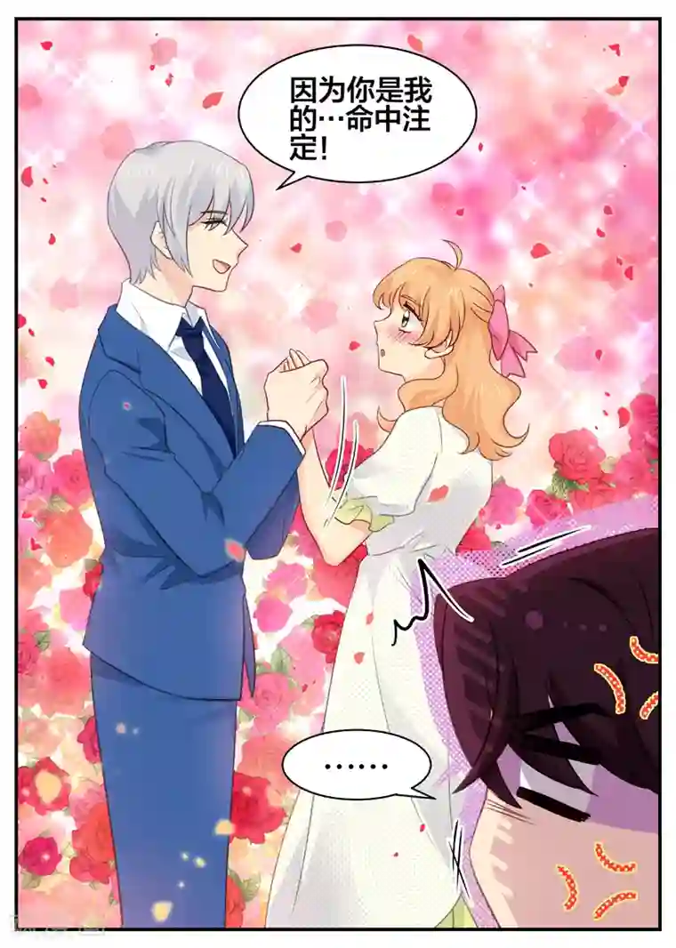 金牌甜妻第157话 命中注定