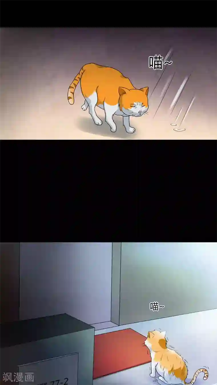 诡中有诡第68话 茹猫饮血(1)