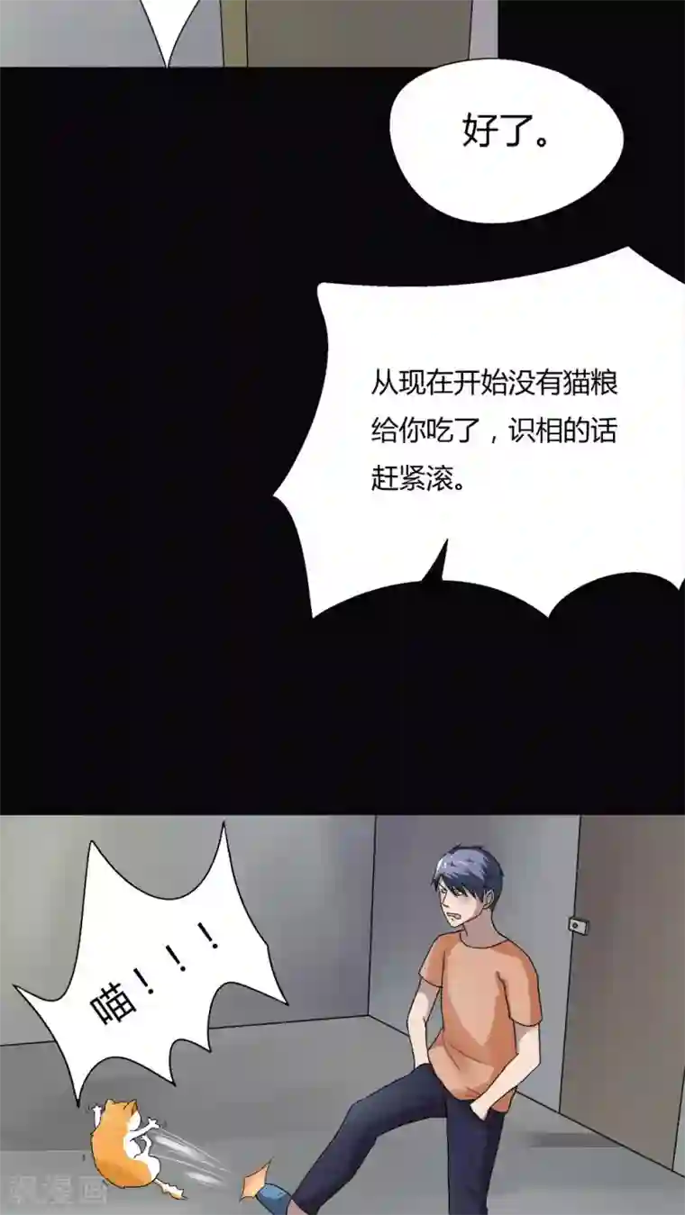 诡中有诡第68话 茹猫饮血(1)