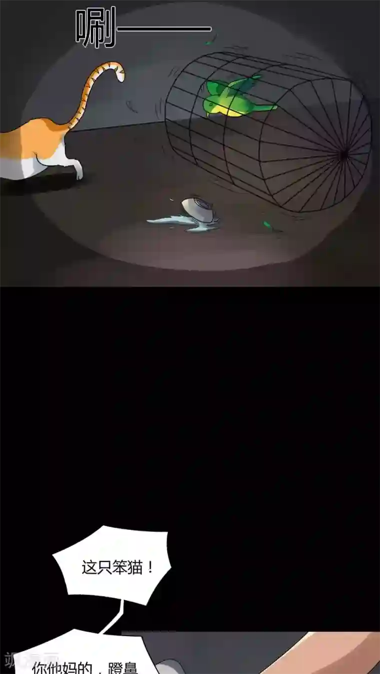 诡中有诡第68话 茹猫饮血(1)