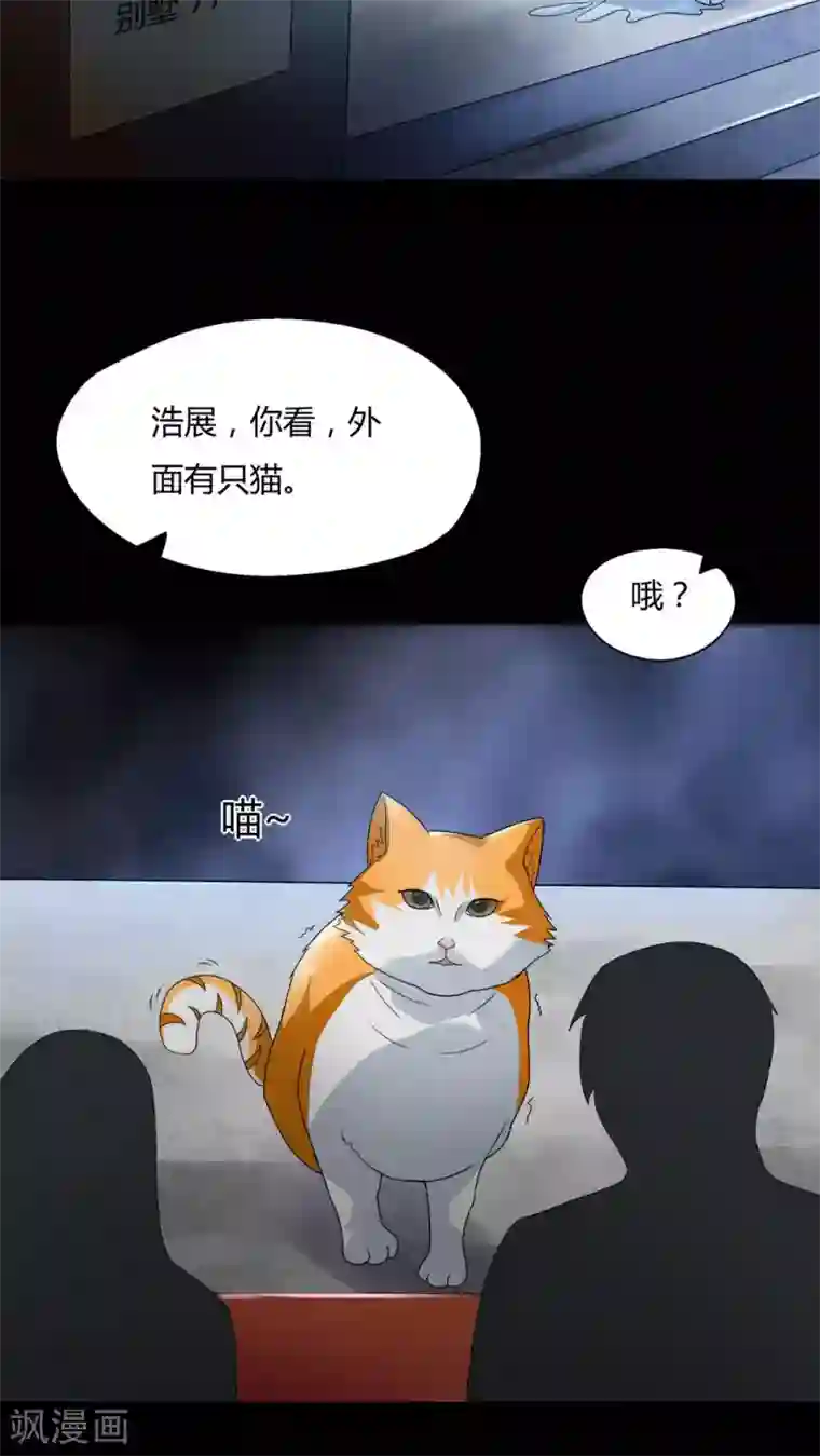 诡中有诡第68话 茹猫饮血(1)