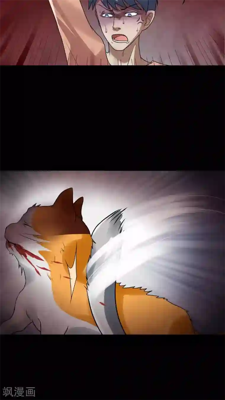 诡中有诡第68话 茹猫饮血(1)