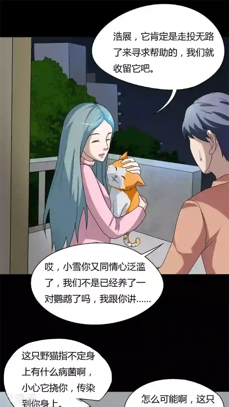 诡中有诡第68话 茹猫饮血(1)