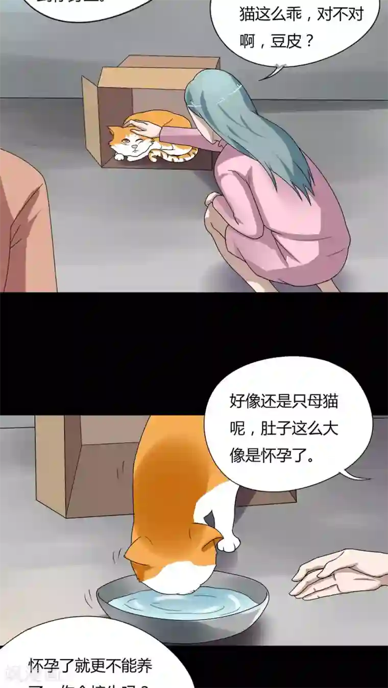 诡中有诡第68话 茹猫饮血(1)