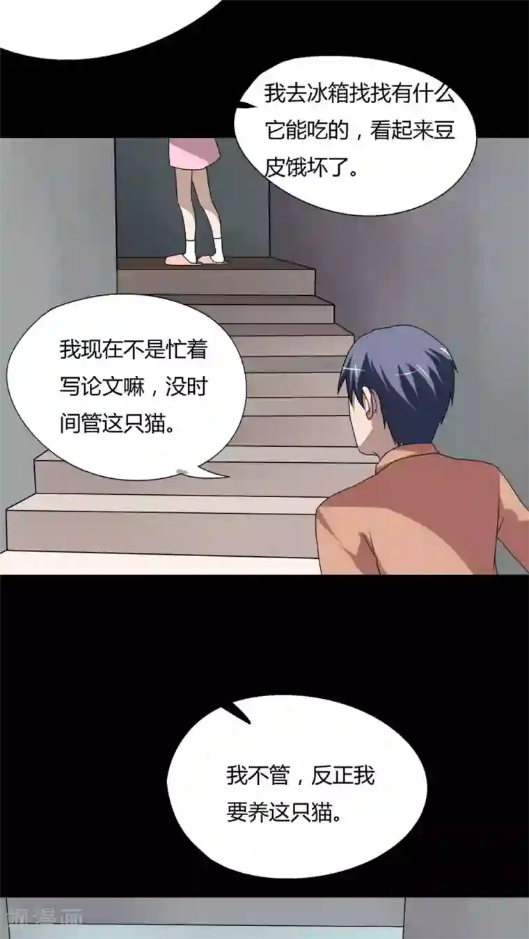 诡中有诡第68话 茹猫饮血(1)