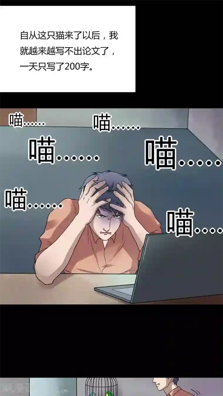 诡中有诡第68话 茹猫饮血(1)