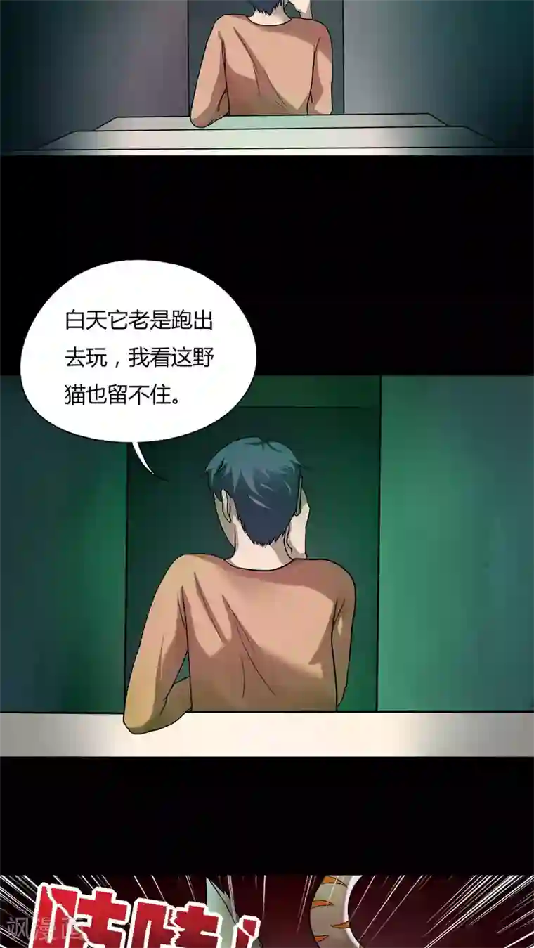 诡中有诡第69话 茹猫饮血(2)