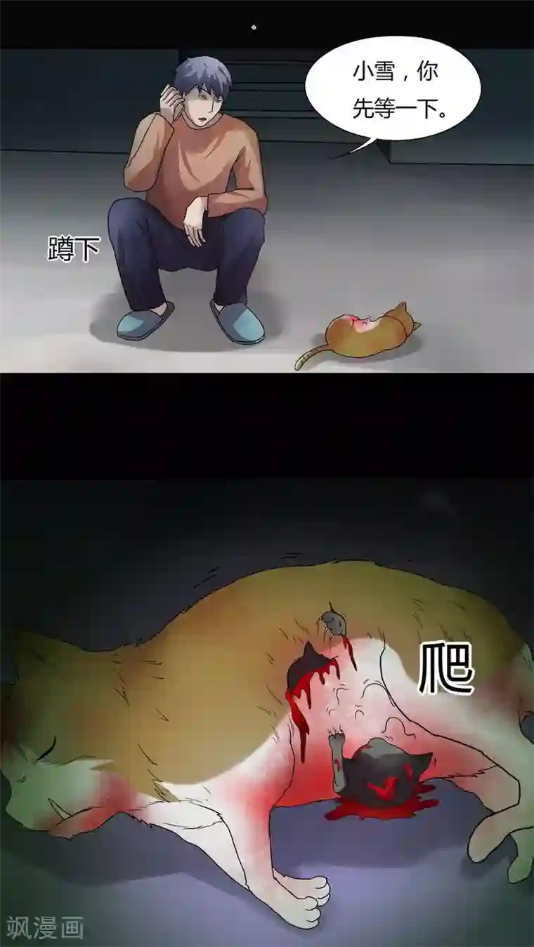 诡中有诡第69话 茹猫饮血(2)