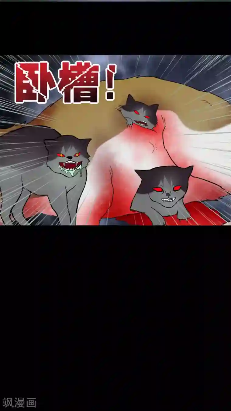 诡中有诡第69话 茹猫饮血(2)