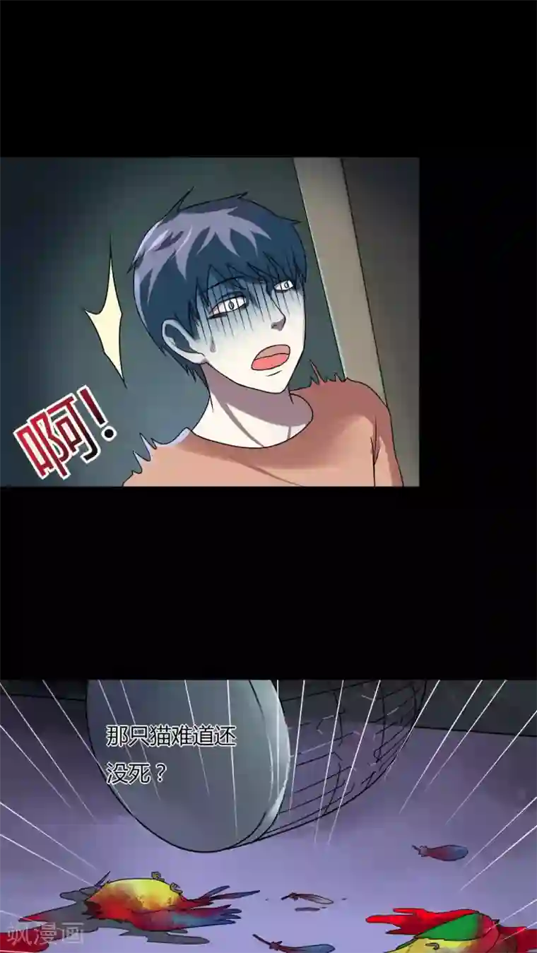 诡中有诡第69话 茹猫饮血(2)