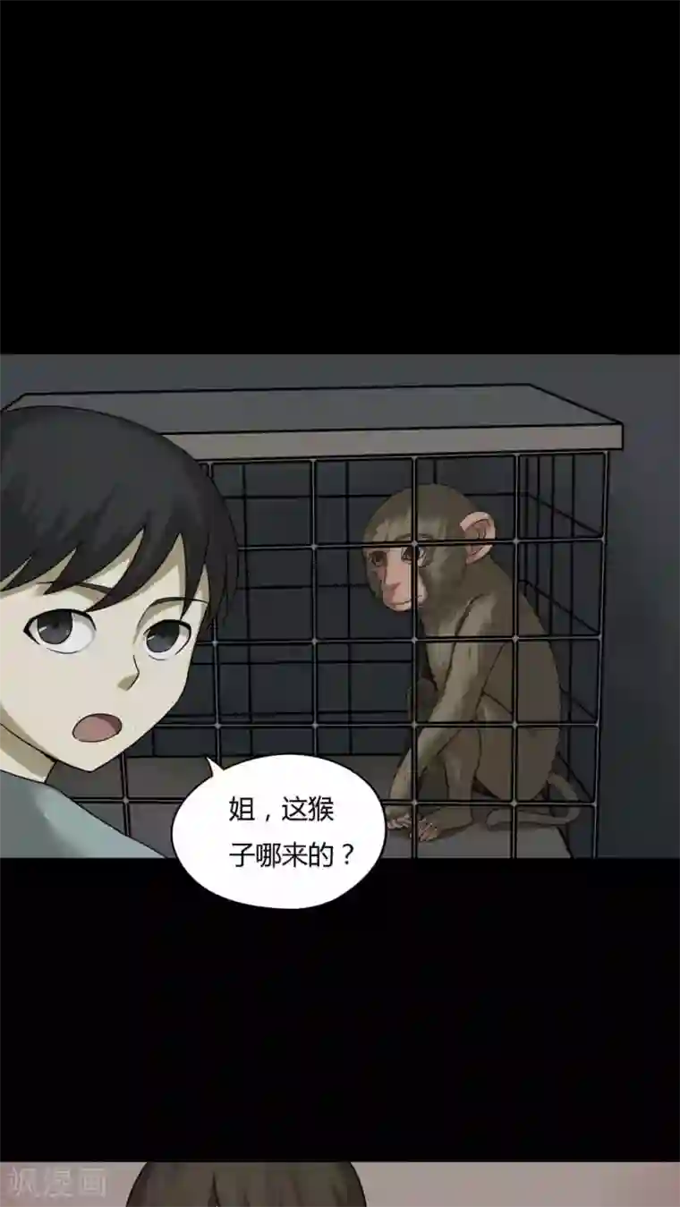 诡中有诡第84话 猴知猴觉(1)