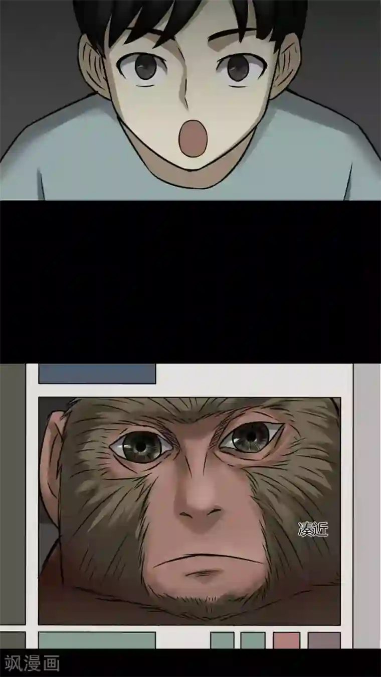 诡中有诡第84话 猴知猴觉(1)