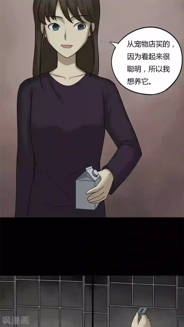 诡中有诡第84话 猴知猴觉(1)