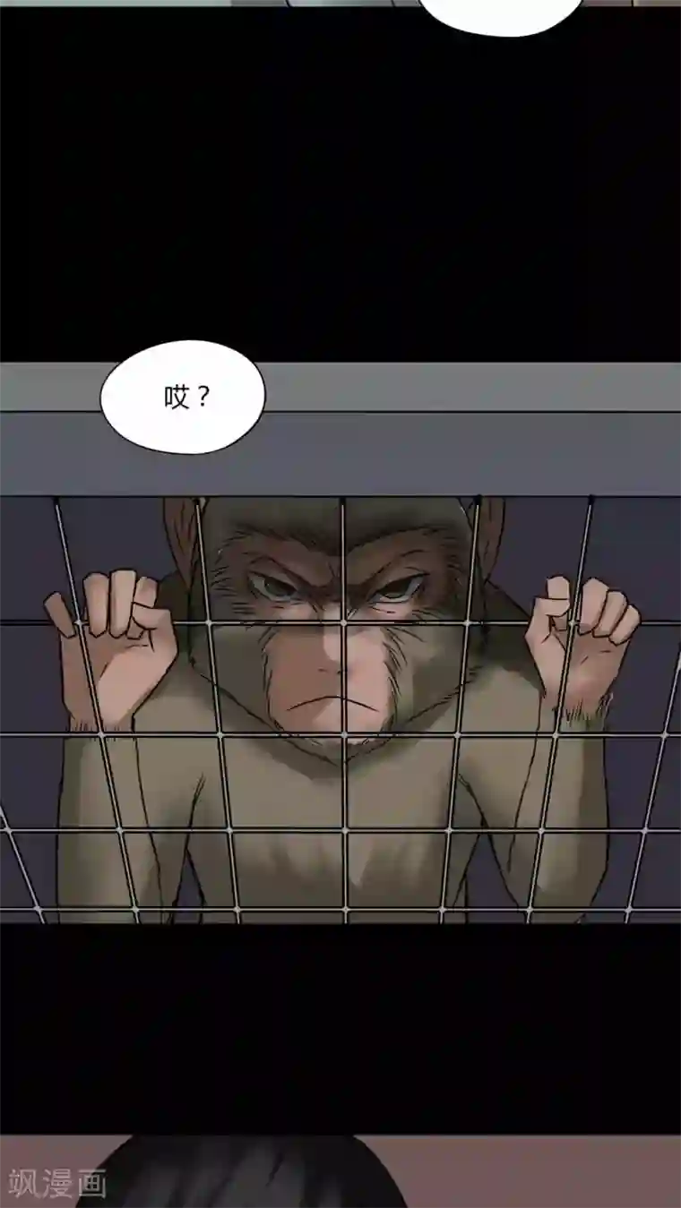 诡中有诡第84话 猴知猴觉(1)