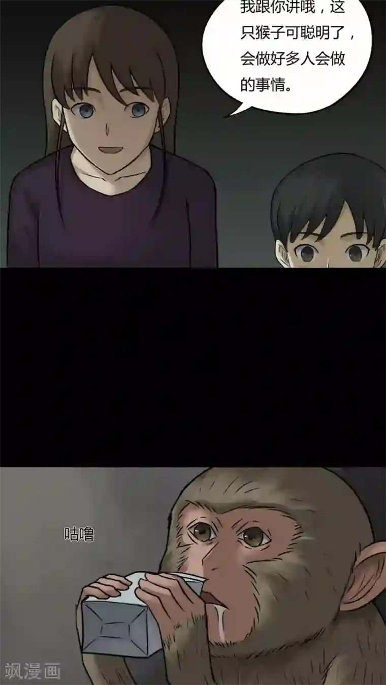 诡中有诡第84话 猴知猴觉(1)