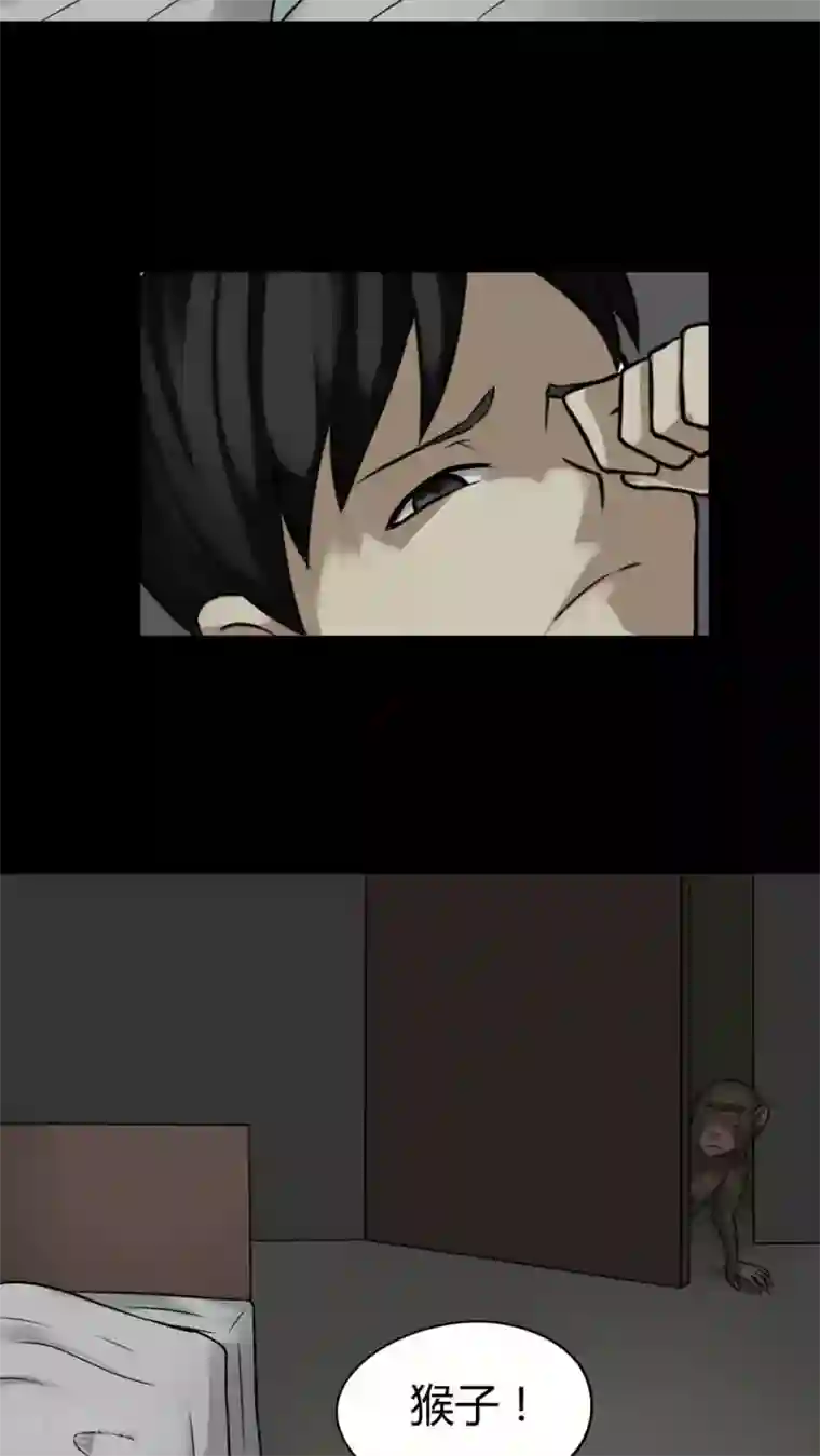 诡中有诡第85话 猴知猴觉(2)