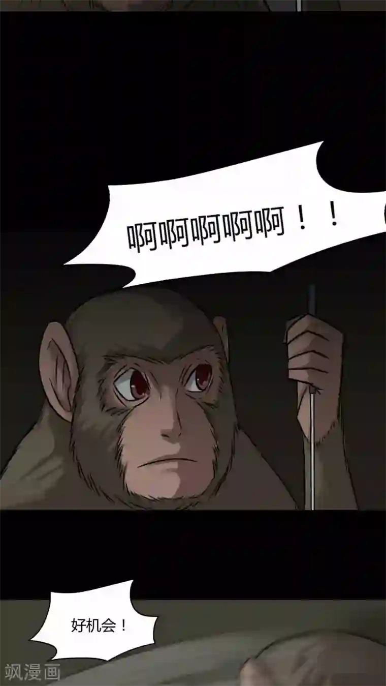 诡中有诡第85话 猴知猴觉(2)