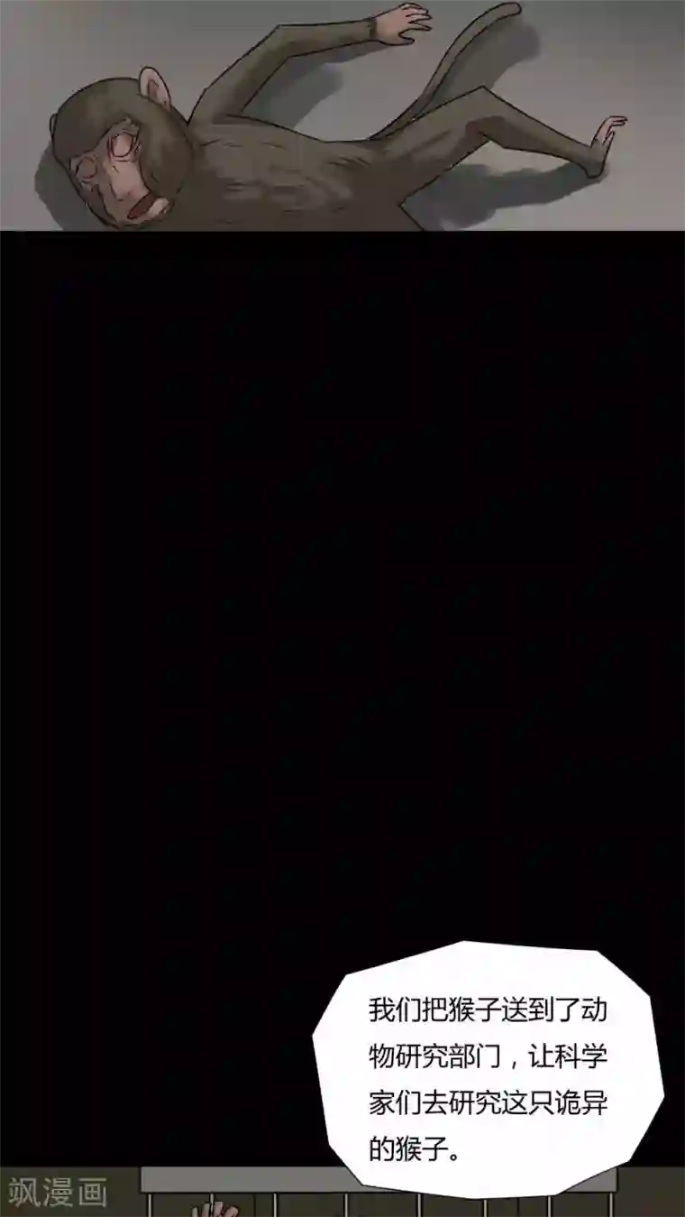 诡中有诡第85话 猴知猴觉(2)