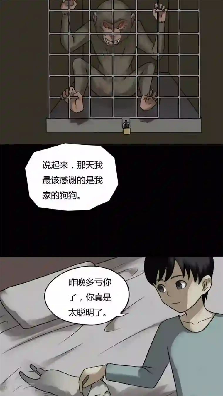 诡中有诡第85话 猴知猴觉(2)