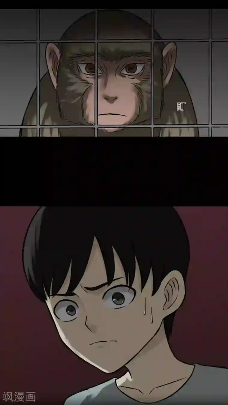 诡中有诡第85话 猴知猴觉(2)