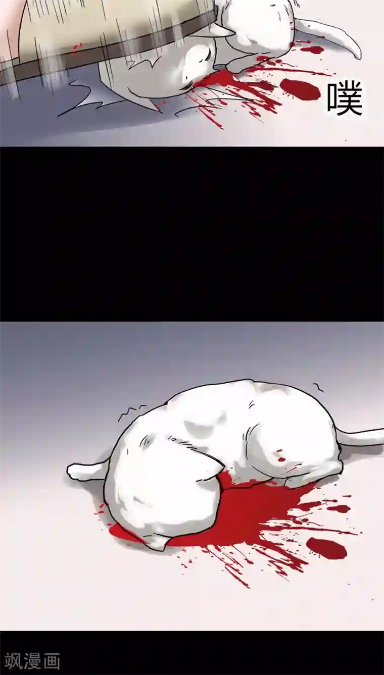 诡中有诡第120话 猫尽公藏(1)