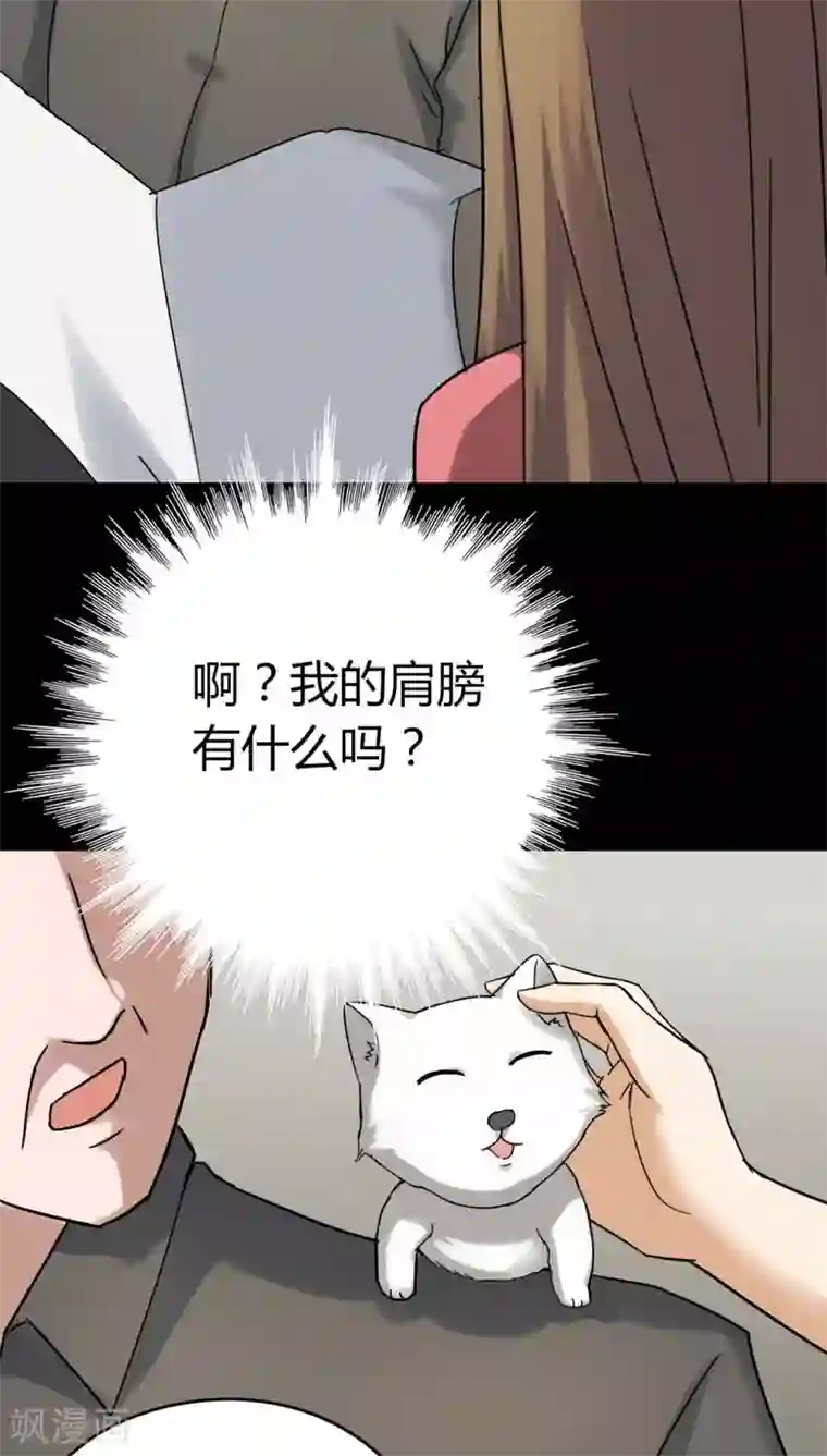 诡中有诡第120话 猫尽公藏(1)