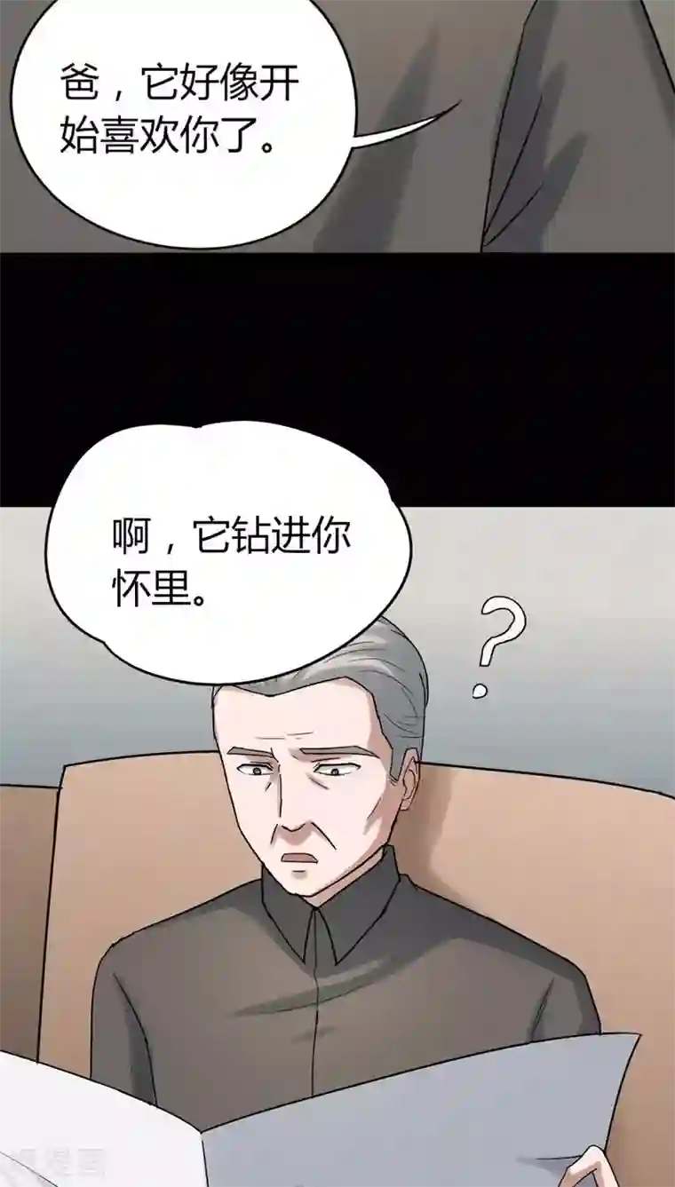 诡中有诡第120话 猫尽公藏(1)