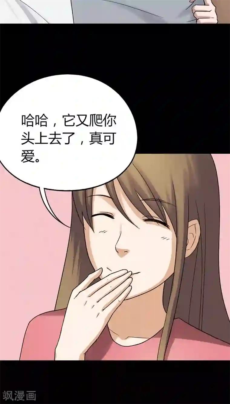 诡中有诡第120话 猫尽公藏(1)