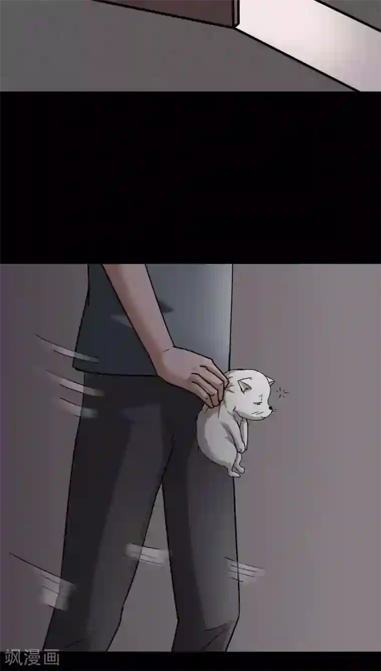 诡中有诡第120话 猫尽公藏(1)