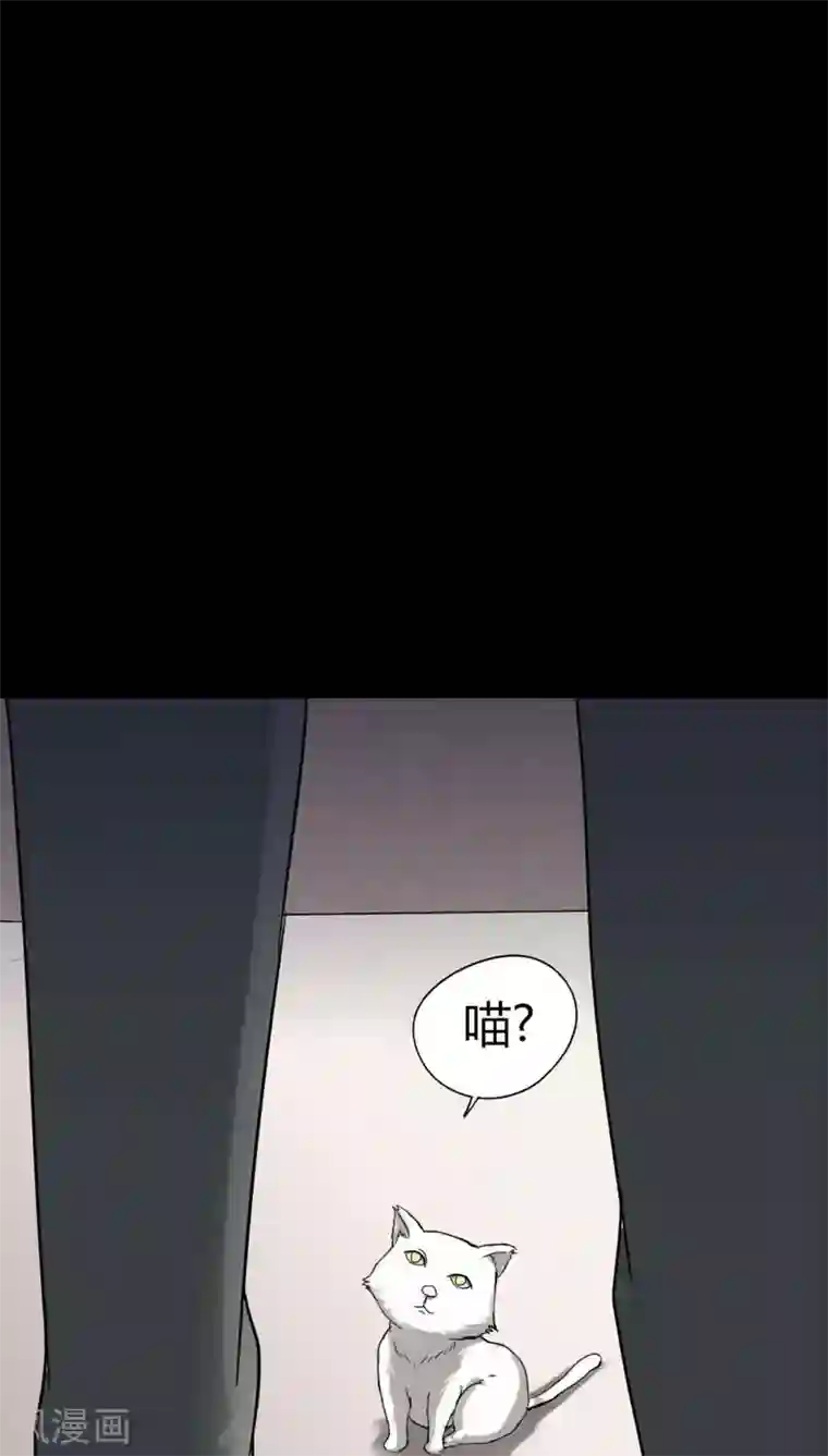 诡中有诡第120话 猫尽公藏(1)