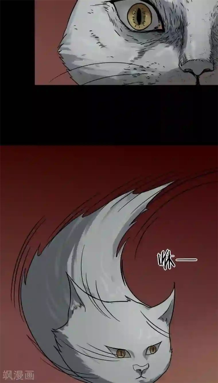 诡中有诡第121话 猫尽公藏(2)