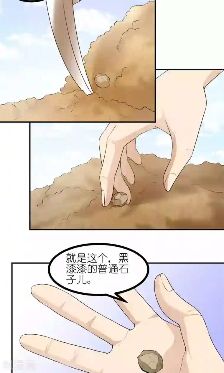 主人是黑客大人最终话 能量石