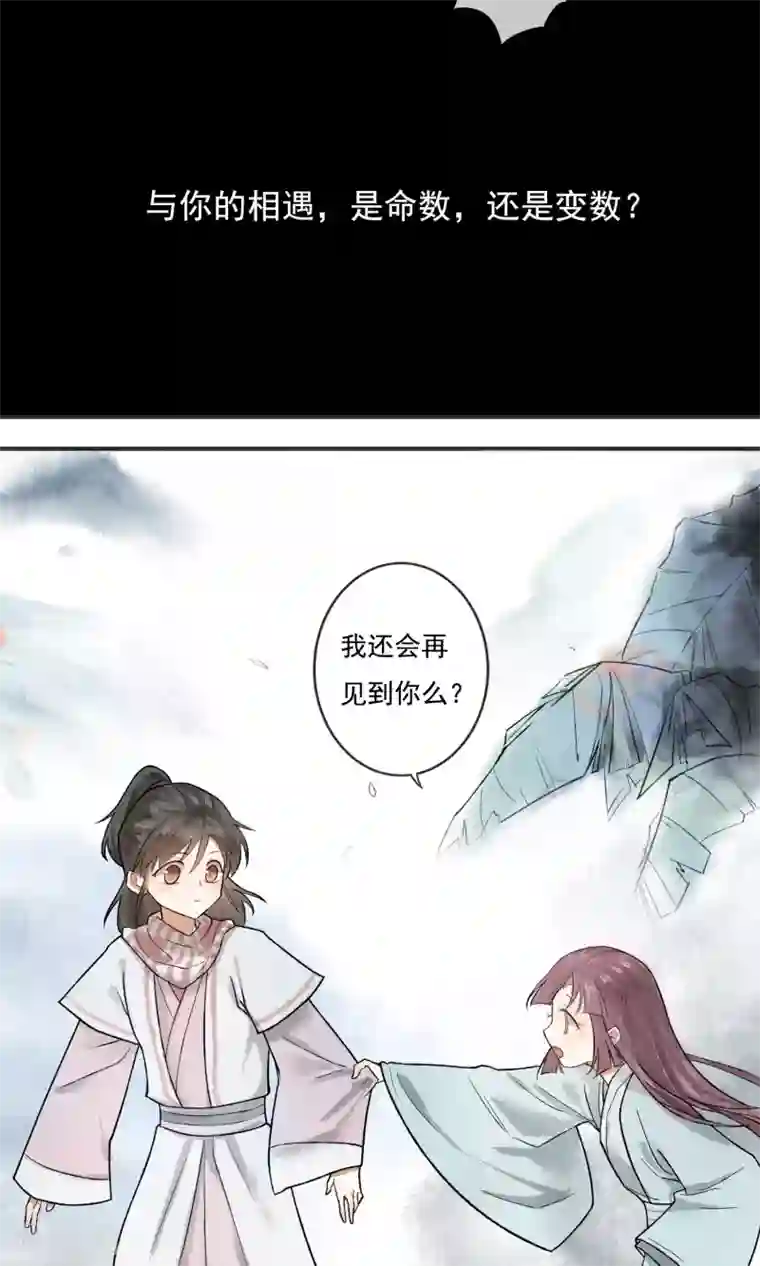 两生花开预告