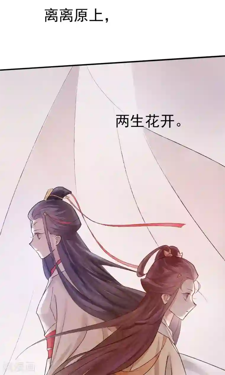 两生花开预告
