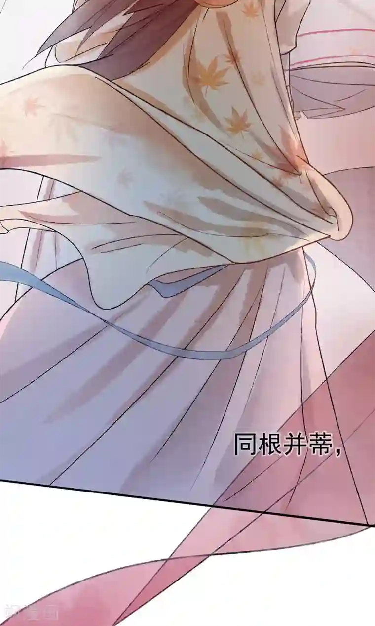 两生花开预告